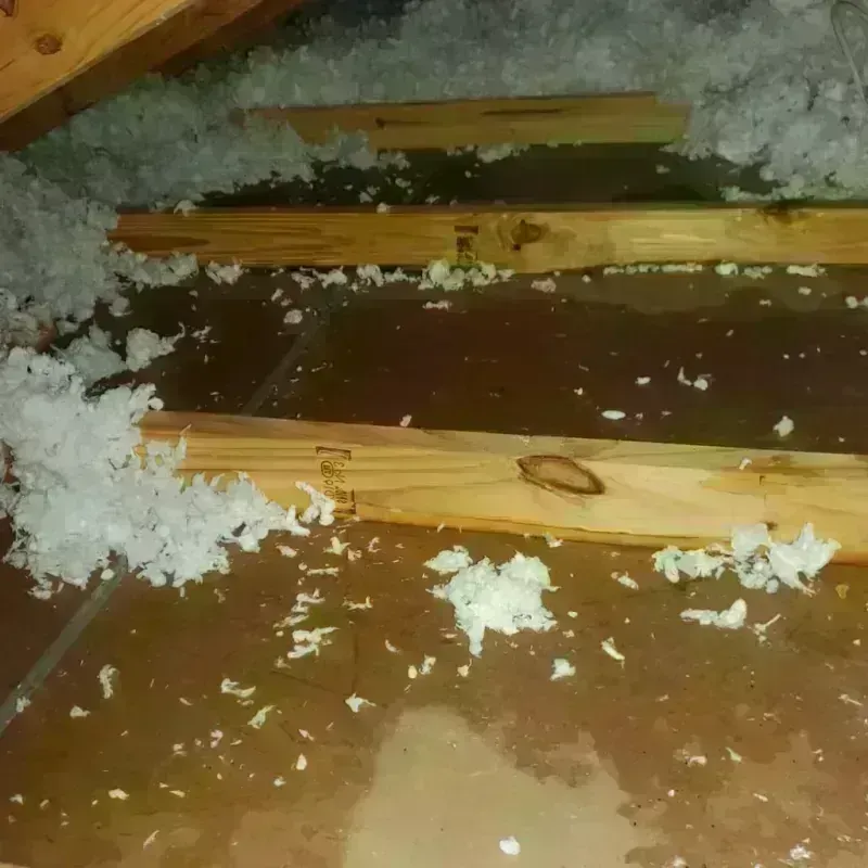 Attic Water Damage in Waterbury, VT